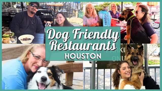 Explore the top dog friendly restaurants Houston offers! From casual patios to lively bars, here's the best-rated spots for you and your pup in Houston.